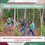 GHWIC Year 3 Comprehensive Report