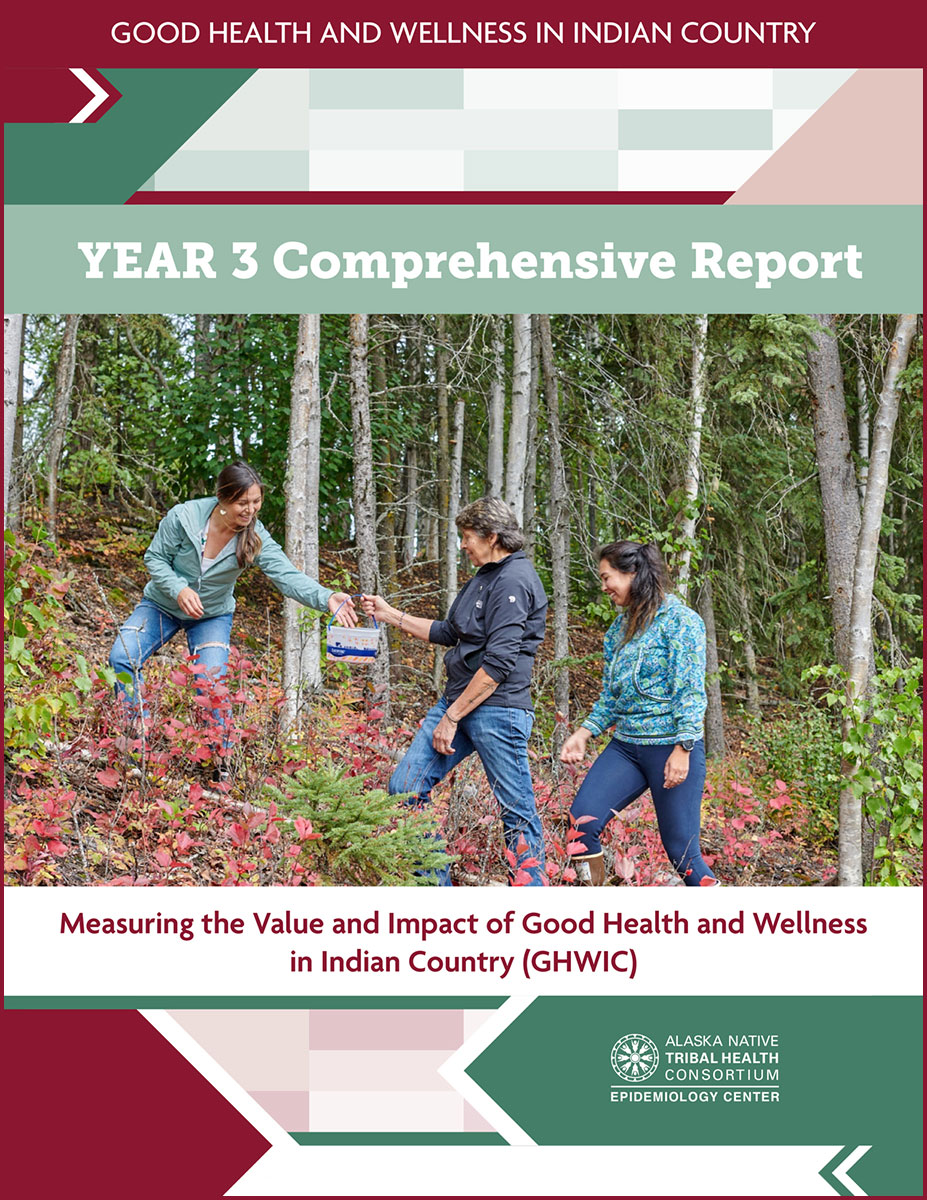Read more about the article GHWIC Year 3 Comprehensive Report